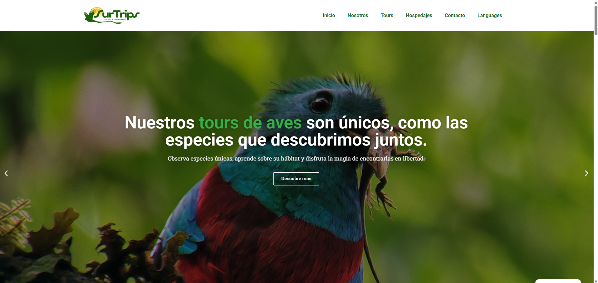 Captura de pantalla del primer proyecto